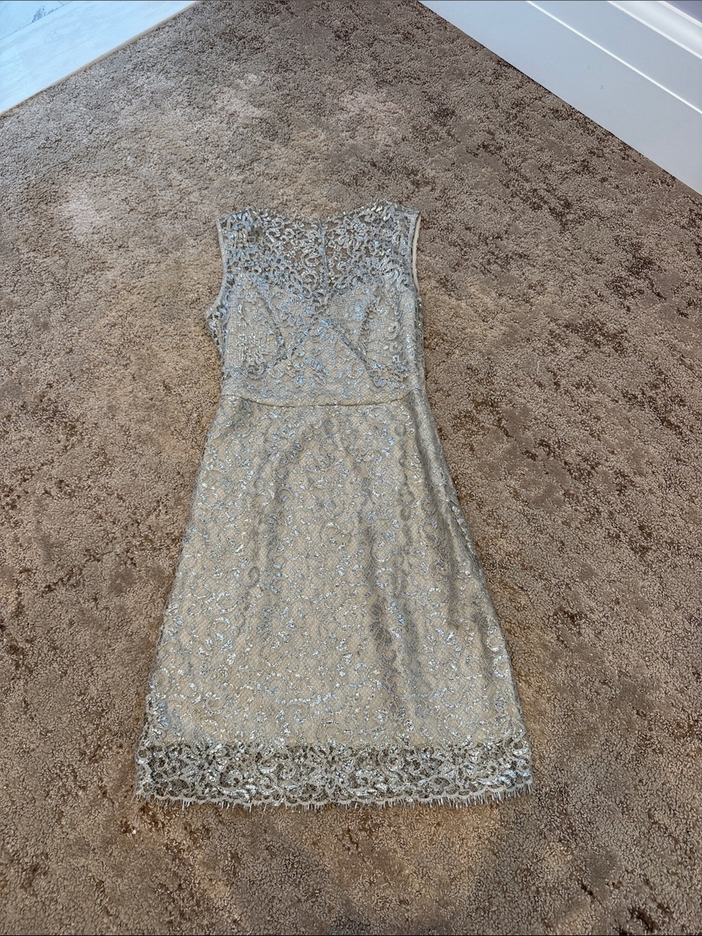 BCBGMaxAzria Sleeveless Lace Beaded Dress in Champagne Silver